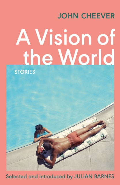 Image for A Vision of the World : Selected Short Stories