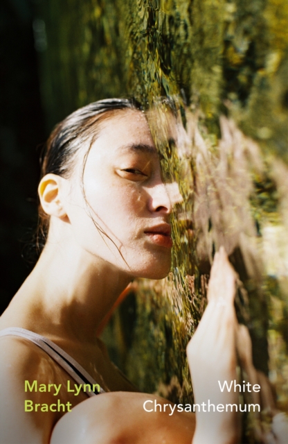 Image for White Chrysanthemum