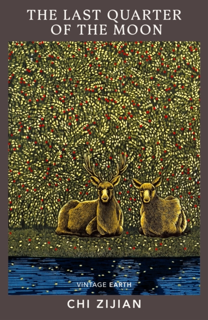 Image for The Last Quarter of the Moon : A novel from the Vintage Earth collection