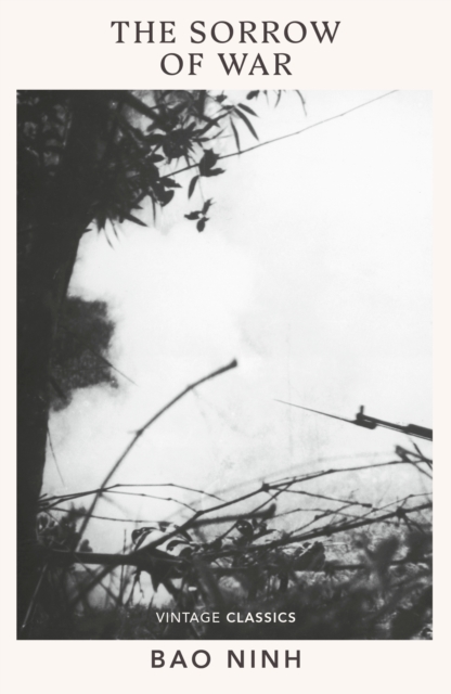 Cover for: The Sorrow of War