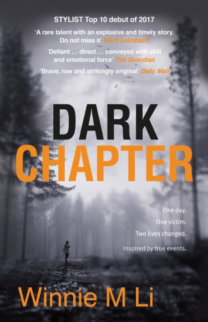 Image for Dark Chapter: Hard-hitting crime fiction based on a true story