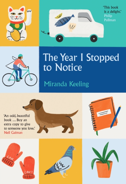 Image for The Year I Stopped to Notice