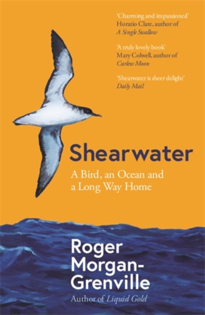 Cover for: Shearwater : A Bird, an Ocean, and a Long Way Home