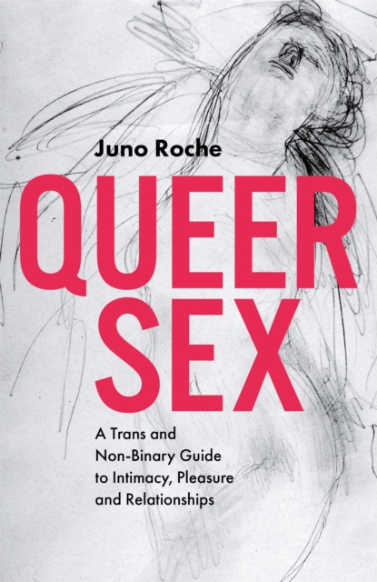 Image for Queer Sex : A TRANS and Non-Binary Guide to Intimacy, Pleasure and Relationships