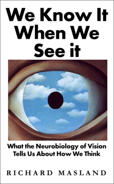 Image for We Know It When We See It : What the Neurobiology of Vision Tells Us About How We Think