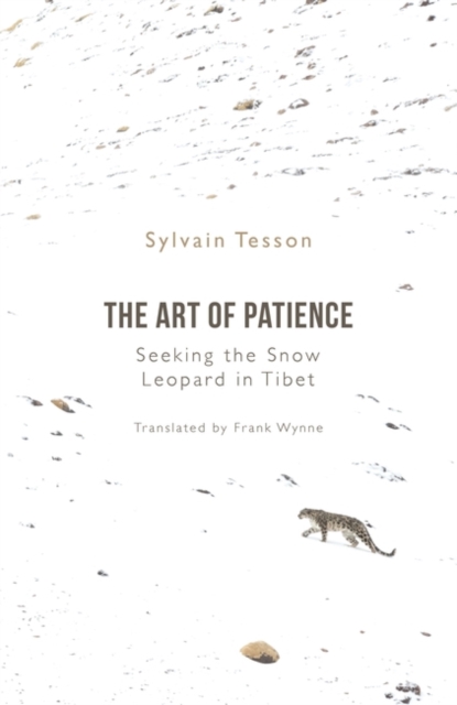 Image for The Art of Patience : Seeking the Snow Leopard in Tibet