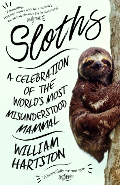 Image for Sloths : A Celebration of the World's Most Misunderstood Mammal