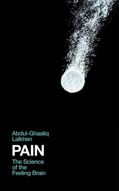Cover for: Pain : The Science of the Feeling Brain