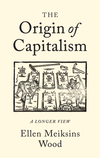 Image for The Origin of Capitalism : A Longer View