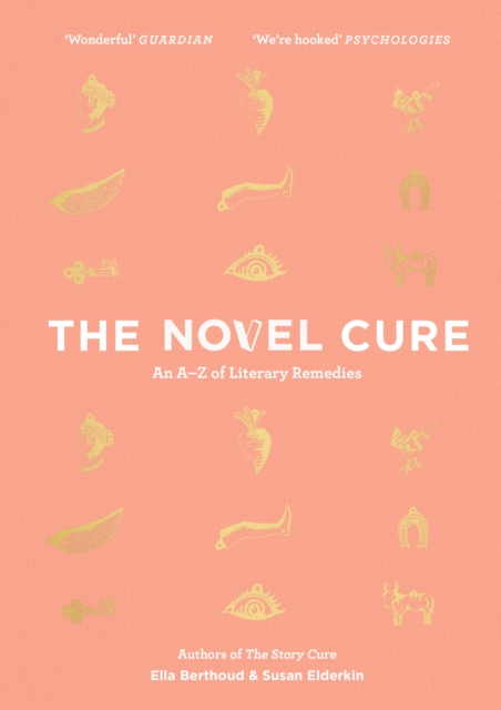 Image for The Novel Cure : An A to Z of Literary Remedies