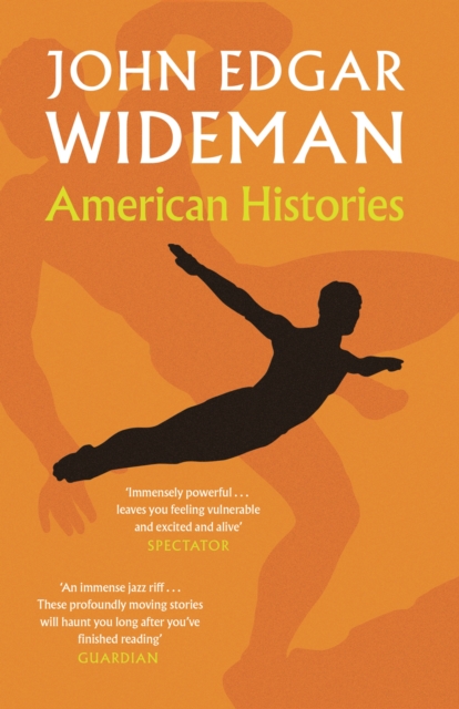 Image for American Histories