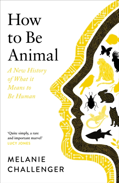 Image for How to Be Animal : A New History of What it Means to Be Human
