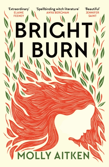 Image for Bright I Burn