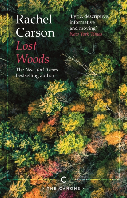 Image for Lost Woods