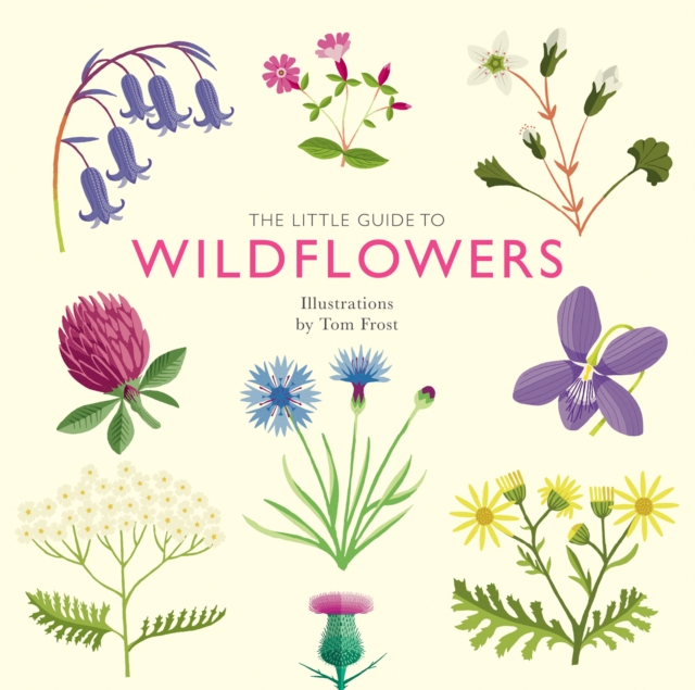 Image for The Little Guide to Wildflowers