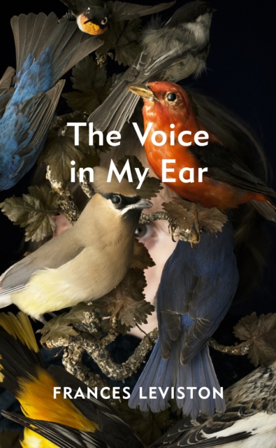 Cover for: The Voice in My Ear