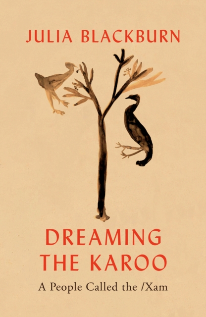 Image for Dreaming the Karoo : A People Called the /Xam