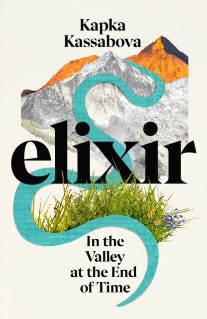 Cover for: Elixir : In the Valley at the End of Time
