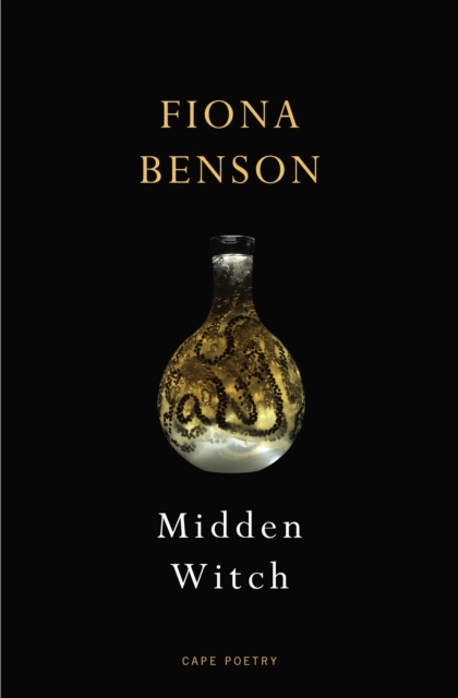 Image for Midden Witch