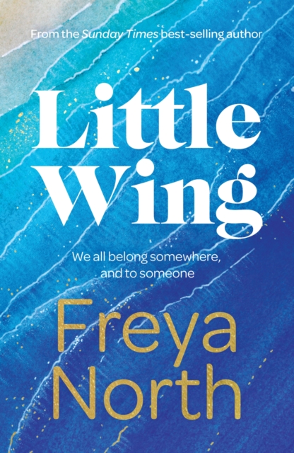 Cover for: Little Wing