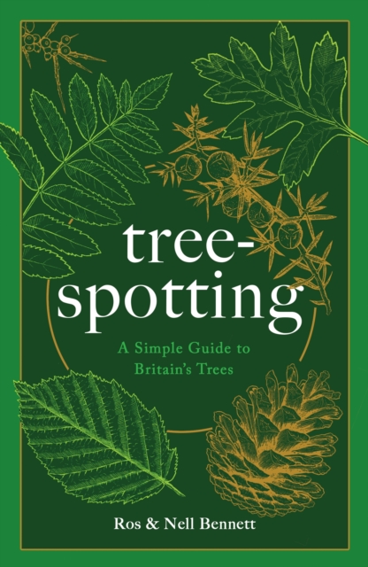 Image for Tree-spotting : A Simple Guide to Britain's Trees