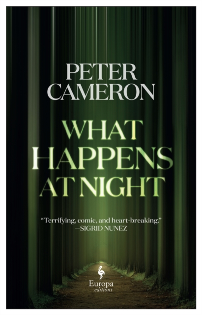Cover for: What Happens at Night