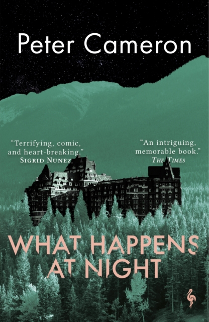 Cover for: What Happens at Night