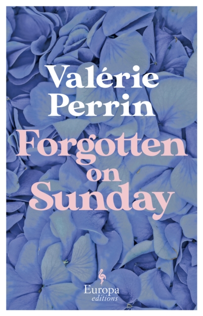 Image for Forgotten on Sunday : From the million copy bestselling author of Fresh Water for Flowers