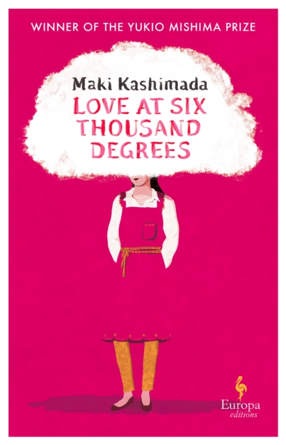 Image for Love at Six Thousand Degrees : A Novel