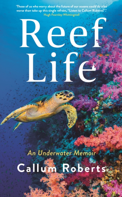 Image for Reef Life : An Underwater Memoir