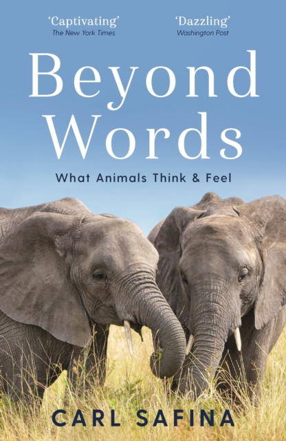 Image for Beyond Words : What Animals Think and Feel