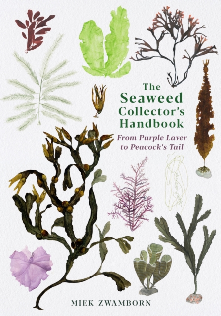 Image for The Seaweed Collector's Handbook : From Purple Laver to Peacock's Tail