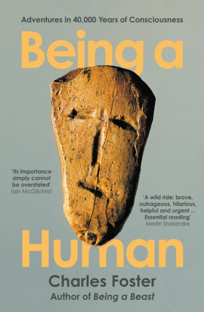 Image for Being a Human : Adventures in 40,000 Years of Consciousness
