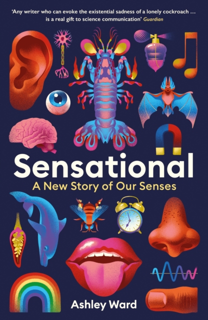 Image for Sensational : A New Story of our Senses