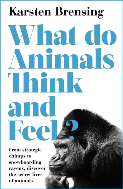 Image for What Do Animals Think and Feel?