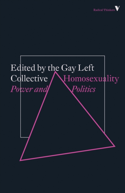 Image for Homosexuality : Power and Politics