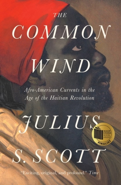 Image for The Common Wind : Afro-American Currents in the Age of the Haitian Revolution