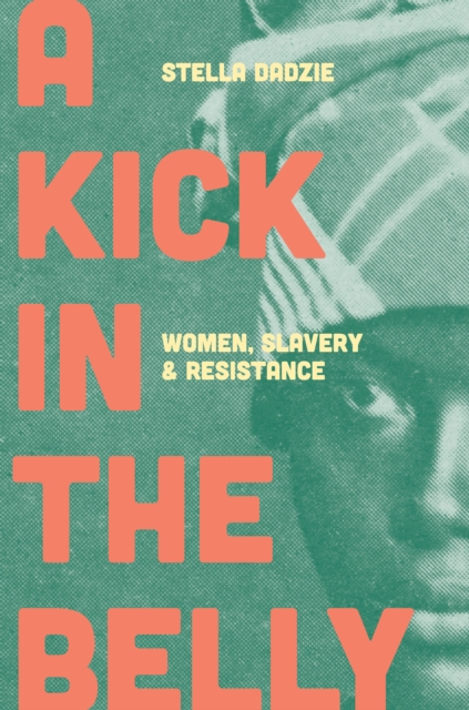 Image for A Kick in the Belly : Women, Slavery and Resistance