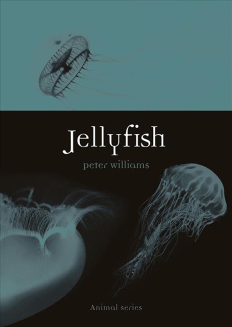 Image for Jellyfish