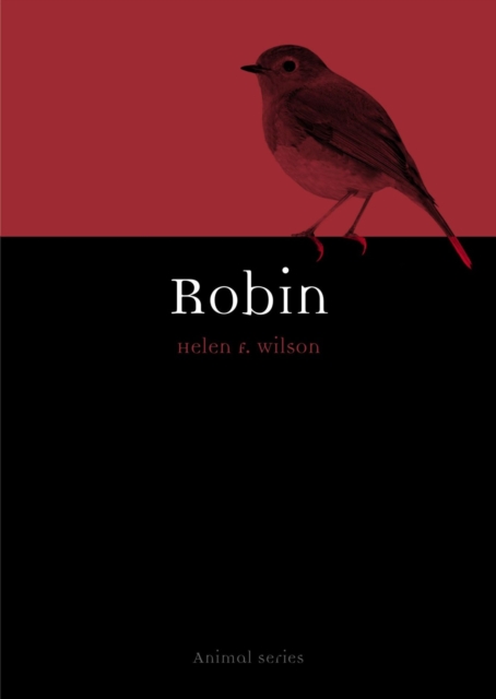 Image for Robin