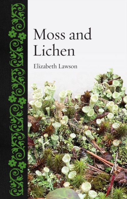 Image for Moss and Lichen