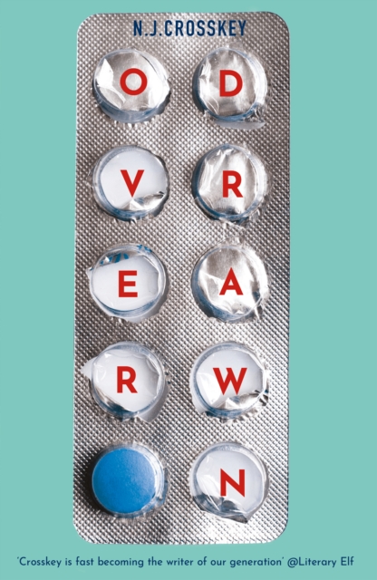 Image for Overdrawn : A Guardian Book of the Month