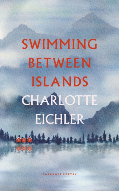 Cover for: Swimming Between Islands