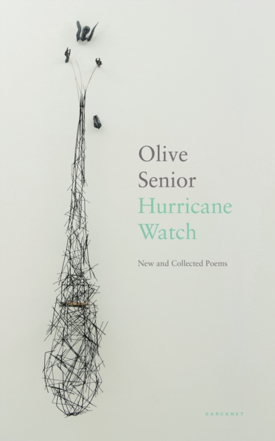 Image for Hurricane Watch : New and Collected Poems