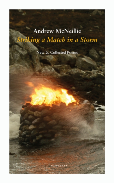 Image for Striking a Match in a Storm : New and Collected Poems