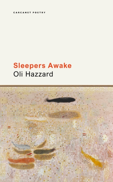 Cover for: Sleepers Awake