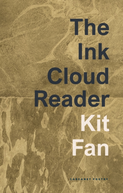 Cover for: The Ink Cloud Reader