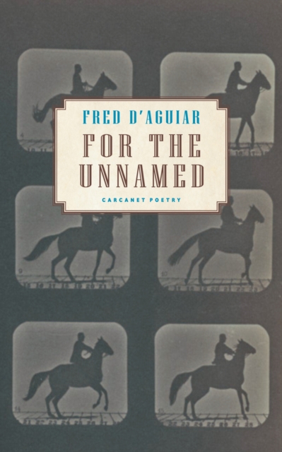 Cover for: For the Unnamed