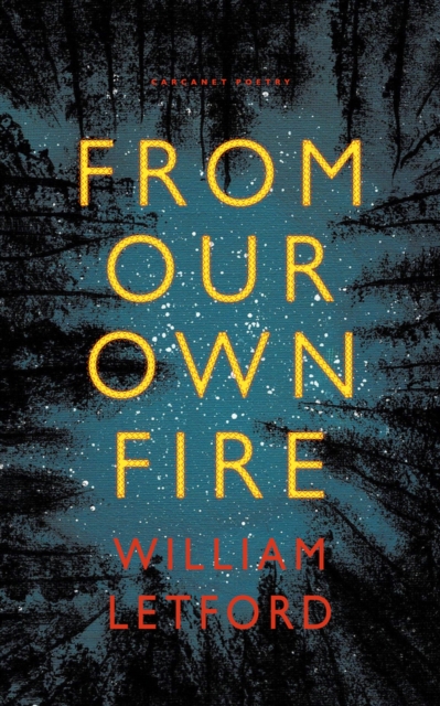 Cover for: From Our Own Fire