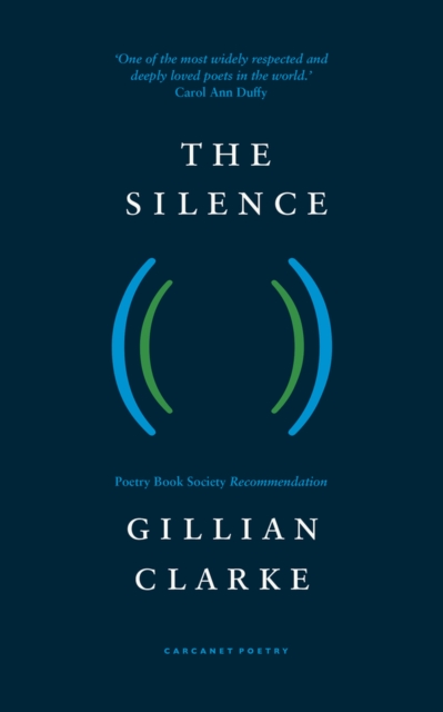 Image for The Silence